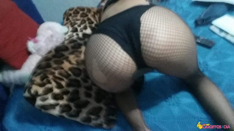 Imagen de galeria grande 1