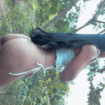 Imagen de galeria miniatura 1